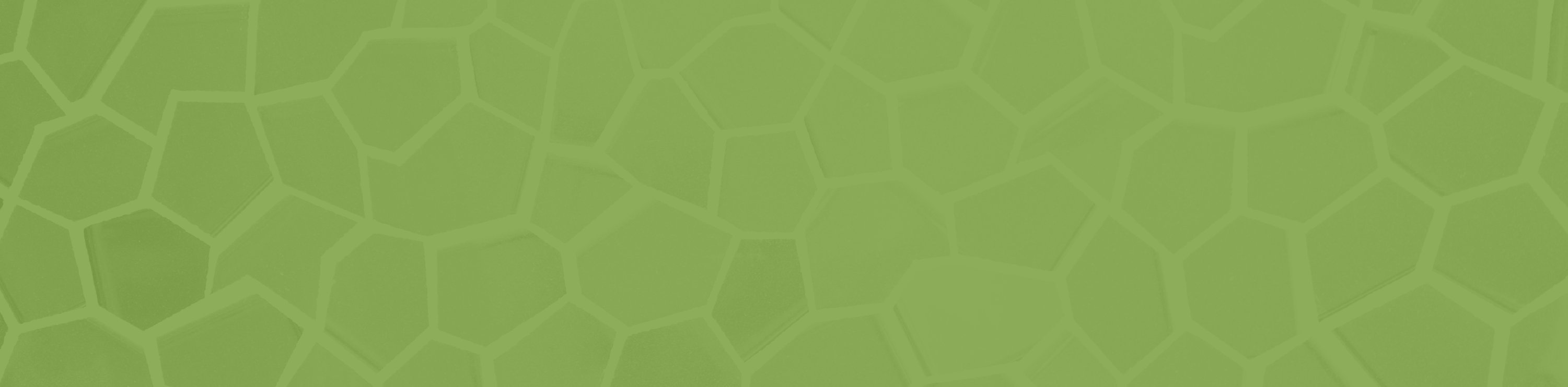 A bright green abstract background with irregular, geometric shapes resembling a mosaic or stained glass pattern. The shapes vary in size and are outlined slightly darker, creating a visually engaging texture.
