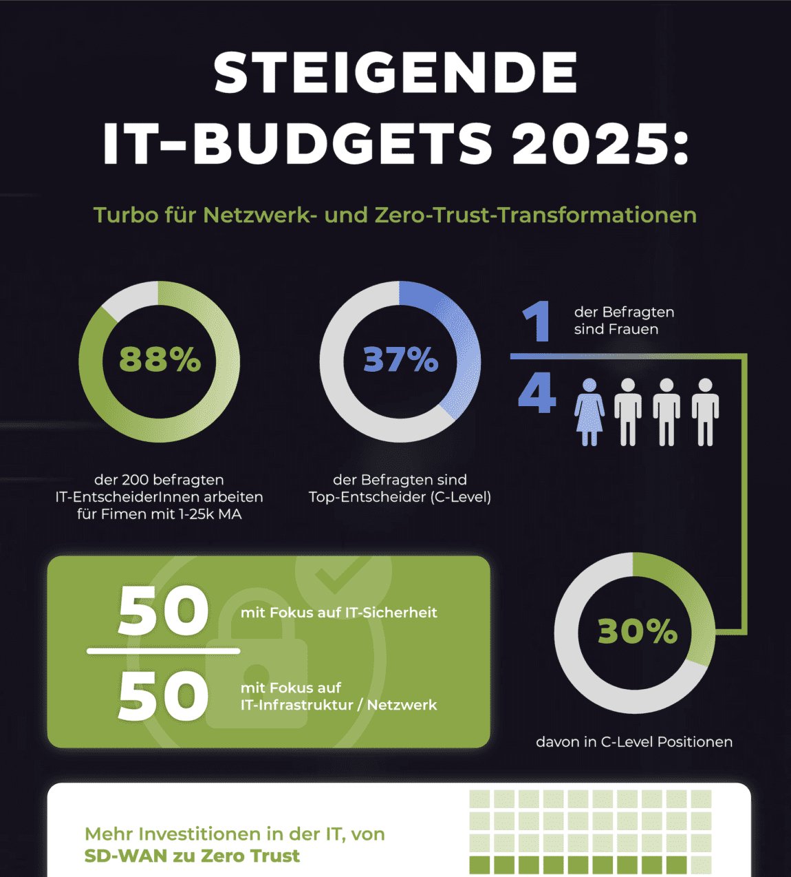 Infografik Deutscher IT Infrastruktur Report Steigende IT Budgets 2025